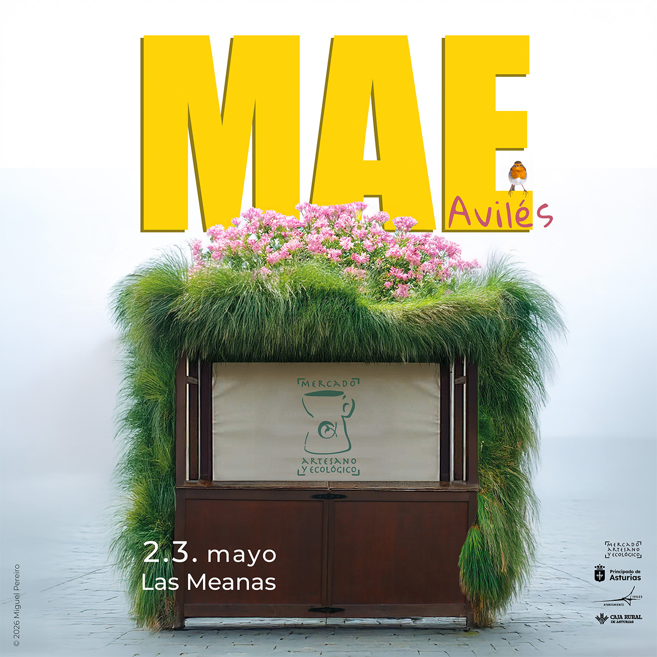 Mercado Artesano y Ecológico de Avilés