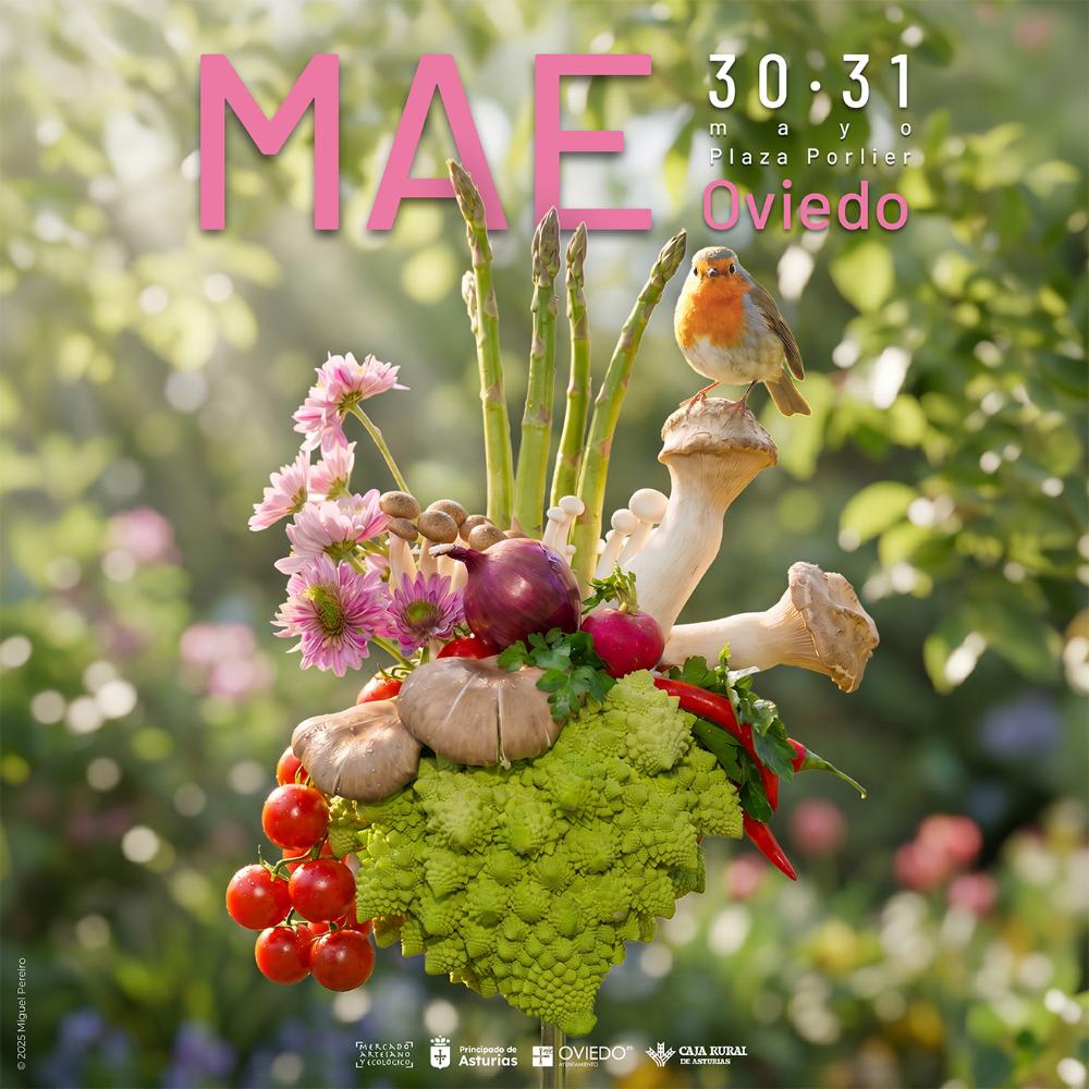 MAE Oviedo - Mayo 2026