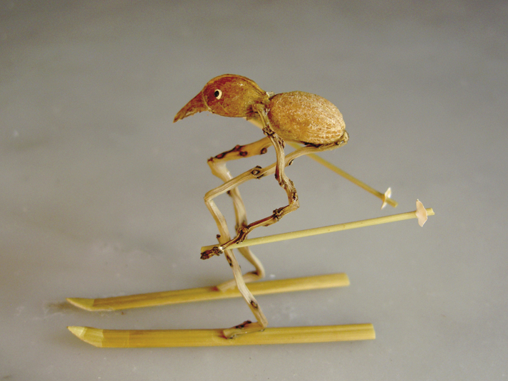 Imagen - 02elmagodepalo.jpg