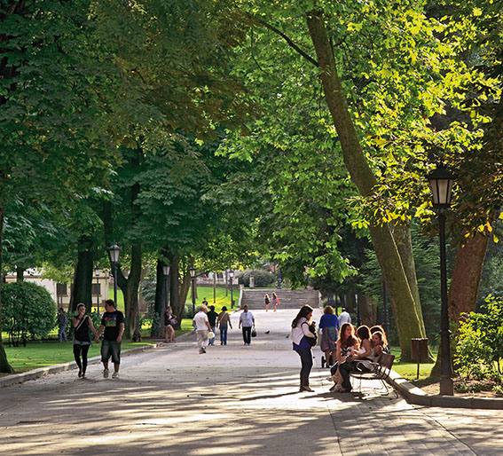 Imagen - campo-sanfrancisco-1.jpg